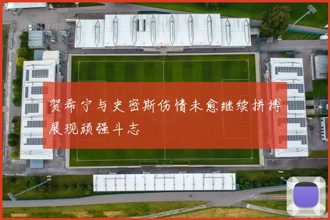 贺希宁与史密斯伤情未愈继续拼搏展现顽强斗志