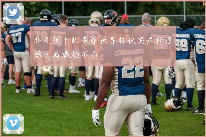 非足联十队争夺世界杯仅突尼斯遗憾出局尴尬不已