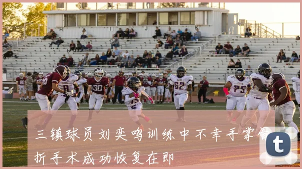 三镇球员刘奕鸣训练中不幸手掌骨折手术成功恢复在即